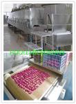 Stainless Steel Flower Dryer Machine Industrial Microwave Drying Oven For Plant