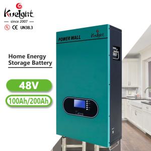 China MPPT Lifepo4 Battery Pack 51.2V RS485 Industry Home Wall Battery Solar Energy Storage factory