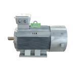 Low RPM High Efficiency 220v 10kw Magnetic Generator SKF Bearing