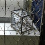 Handwoven Ferruled Type Stainless Steel Woven Wire Mesh Mill Finish / Colored