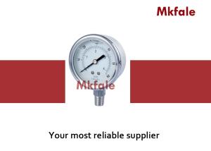 China Precision Stainless Steel Liquid Pressure Gauge Normal Two Piece Screwed Connection factory
