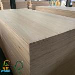 Paulownia Wood for Furniture Board Contemporary Design and Workshop Craftsmanshi