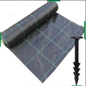 China PP Black - Green Biodegradable Landscape Fabric For Stop Grass Growing factory