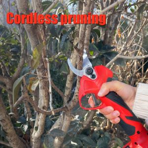 China Electric High Branch Pruning Set Lithium Battery Cordless Handheld Telescopic Pole Tree Branch Pruning Shear Pruner on sale