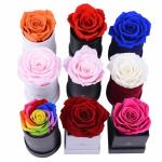 Real presered rose ot sell box flower presered rosese eternal promise
