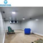 PU Sandwich Panel Insulation Deep Freezer Quick Cooler for Philippines Market