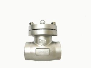 China DN40 PN25 Manual Cryogenic Swing Check Valve 2 Way factory
