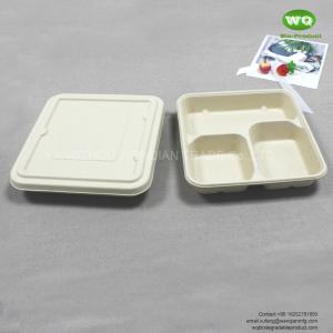 China 3-coms Square Lunch Tray with Lid - Biodegradable, Compostable &amp; Chemical Free Bagasse Sugarcane Fiber Product factory
