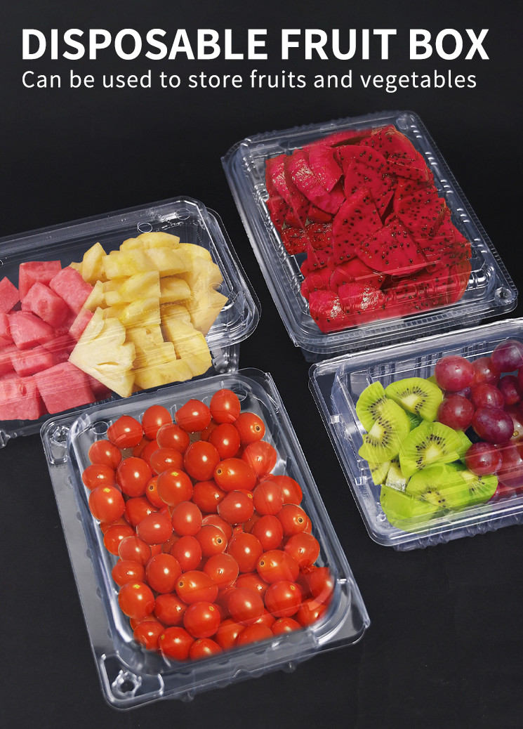 PET Fruit Container Disposable Plastic Containers With Dome Lid Disposable Clear Box