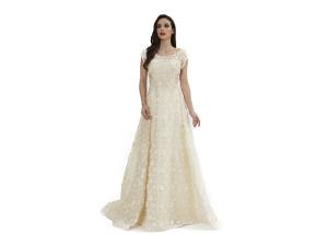 China Beige Color Applique Long Wedding Dresses For Women Maxi Floor Length factory