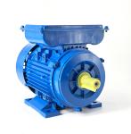 Single Phase AC Induction Motor YL90S-4 - 1.1KW 1400RPM 220V 50Hz