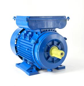 China Single Phase AC Induction Motor YL801-4 - 550W 1400RPM 220V 50Hz factory