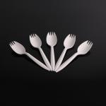 14CM Compostable Biodegradable Pla Spoons
