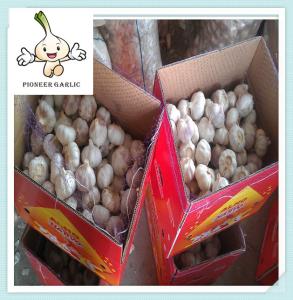China fresh garlic white Grade AAA Organic Fresh Garlic Pure White Garlic factory