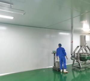 China Durability of ≥10 Years Customizable Clean Room Wall Coverings for Long-Lasting Protection factory