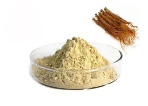 China 10% Ginsenosides Red Ginseng Extract factory