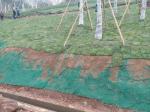 Slope Protection 3D Geomat ECB Green Erosion Control Blanket