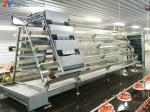 Chicken Raising Automatic Poultry Cage , Battery Chicken Cages For Laying Eggs