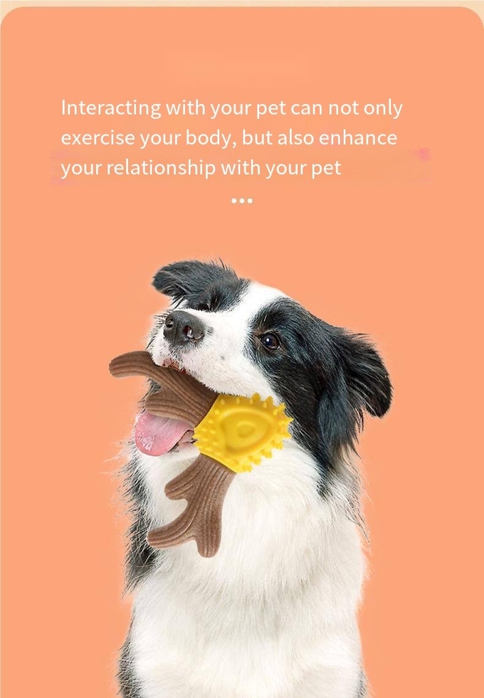 Durable Toy For Pets Dog Chew Toy for Teeth Cleaning