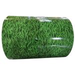 JIS Standard PPGI Color Coated Steel Coil with Coil ID 508/610mm and PPGI Steel