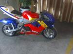 49cc 2-Stroke Air Cooled Mini Moto/Racing Bike