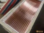 Screws Copper Rod Bar C10100 Thermal Conductivity With Length 500-6000mm
