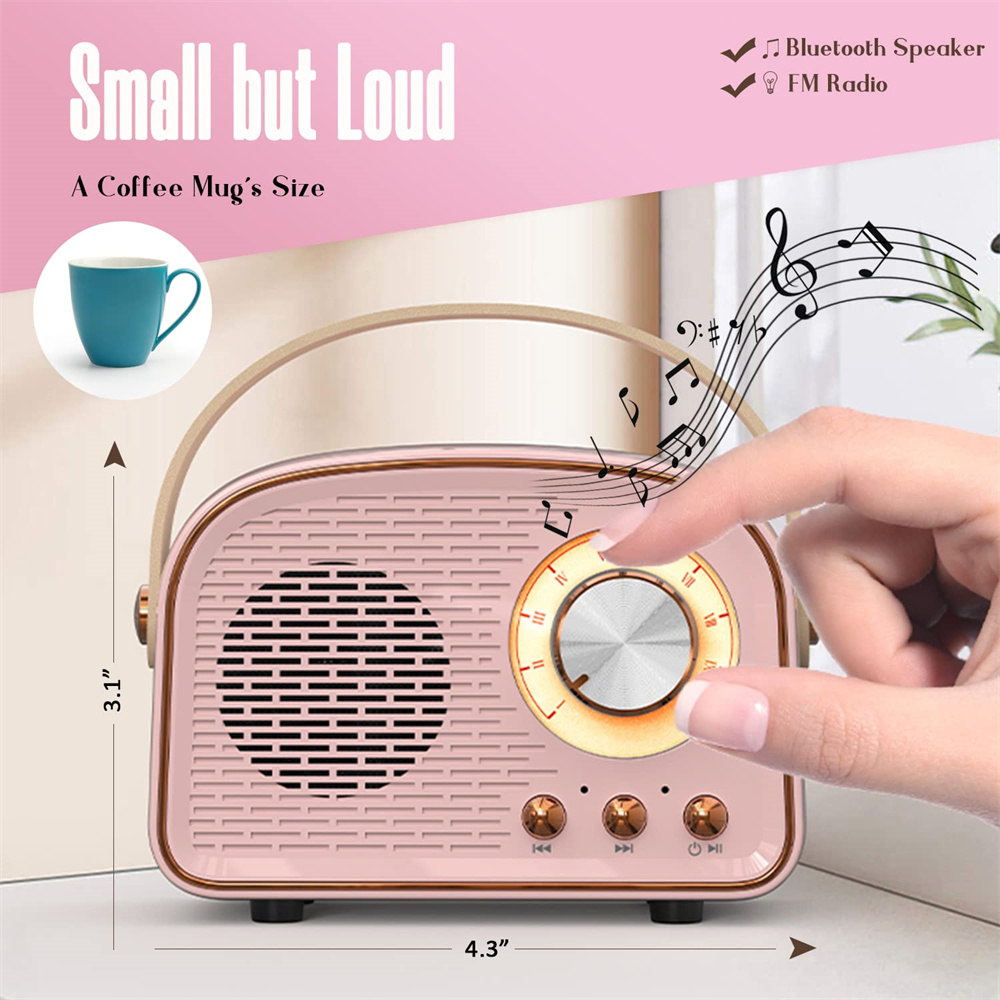 Portable Audio Player Hifi Stereo TF USB FM Radio Wireless Retro Blue tooth Speaker