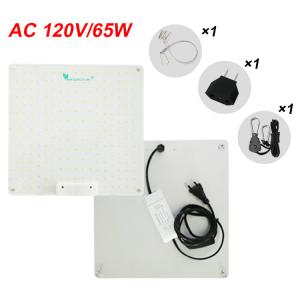 China Full Spectrum Uv Ir Grow Light 100W 150W Indoor Plant Lamp Lighting Design factory