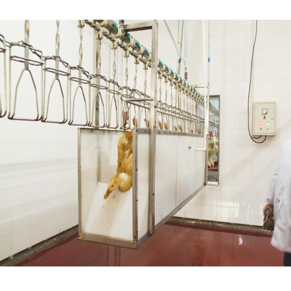 China stainless steel Poultry Slaughterhouse Equipment automatic For Meat Processing factory