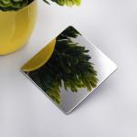 Hot Rolled Waterproof Golden Mirror SS Sheet , 436L Stainless Steel Sheet Rose