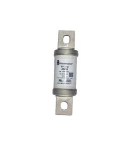 China High Voltage 250 Amp Automotive Fuse , ISO8820 Blade Car Fuses factory