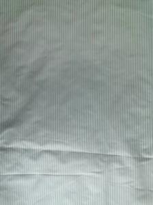 China 20D*20D 100%N 39GSM Graphene fabric factory