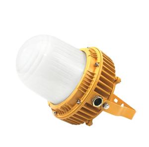 China 40W Portable Explosion Proof LED Light Luminaire 5 Years Warranty AW-EPHB613 factory
