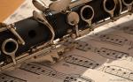 constansa instrumentProfessional Performance Level Ebony Wood Silver Plated 18