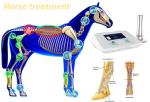 High Pressure Adjustable 1-22Hz Shockwave Machine For Horse Treatment