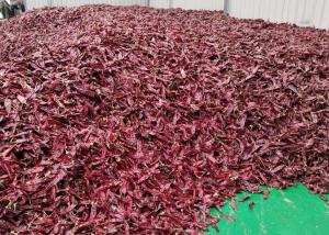 China Dehydrating Sweet Paprika Chilli Pepper Vacuum Sealed 1%Max factory