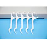 Factory Price Oral Care Eco Friendly Advanced Clean Toothpick Dental Flosser