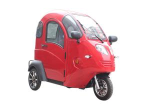 China Passenger Enclosed Electric Tricycle 60 V 800 W 2 Seats For Adult 25 Km/H factory