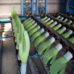 Disposable High Speed Latex Glove Manufacturing Machine