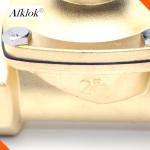 Brass Normally Closed 2 inch Waterproof Solenoid Valve 220V AC