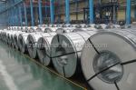 Prime Z275 Z180 26 Gauge 28 Gauge Galvanized Steel GI Coil Metal Sheet with