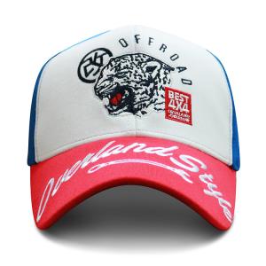 China 6 Panel Embroidered Baseball Caps With Metal Buckle Soft Or Hard Pre - Curved factory