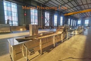 China 1-3 Ton/h Mango Pretreating Line Aseptic Bag Bottle Mango Pulp Processing Machinery factory