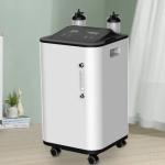 Up To 96% Household OEM Medical Oxygen Concentrator 10 Liter