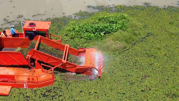 18 CBM/20 Tons Aquatic Plant Cutting Boat / Harvester Water Hyacinth Duckweed