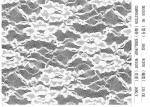 Elastane White Lingerie Lace Fabric Custom Print Garment Accessory
