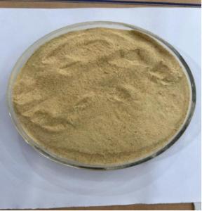 China Brewers Yeast For Animal Feed With High Real Protein factory
