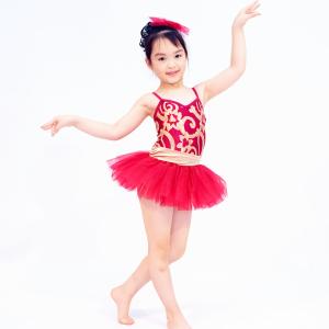 China Fancy Kids Dance Clothes Floral Sequin Dress Matching Tulle Tutu Skirt factory