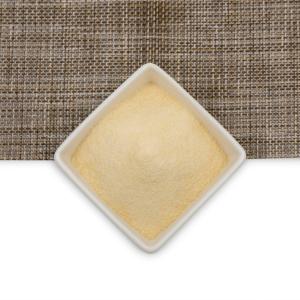 China Bulk Gelatine Powder 300 Bloom Gelatin Raw Material For Adhesive factory