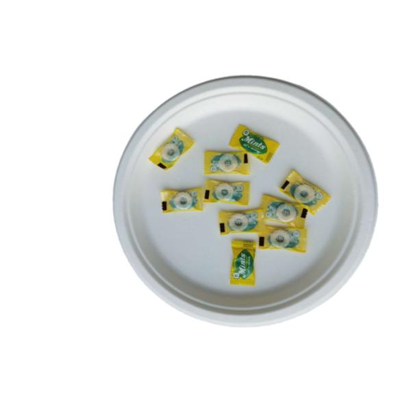 China 10 Inch  Round Compostable Bagasse Disposable Plates factory